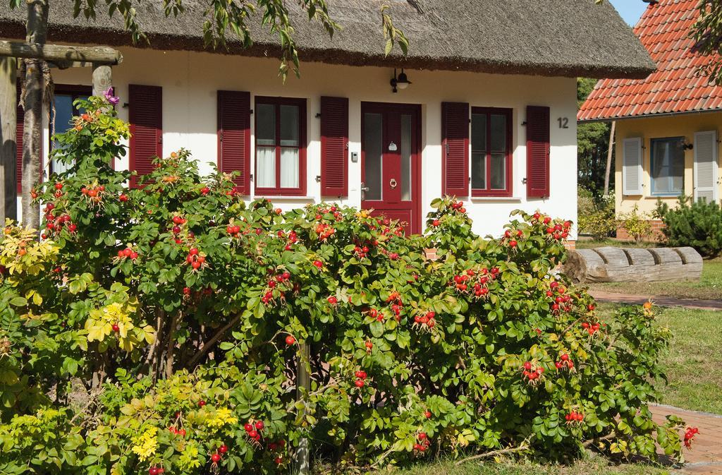 Duenenresidenz Glowe - Haus Luisa מראה חיצוני תמונה